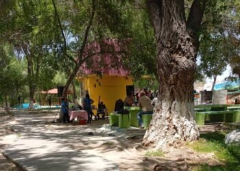 Habilita Alcaldía de Coyame zonas para campistas, a sólo hora y media de la capital