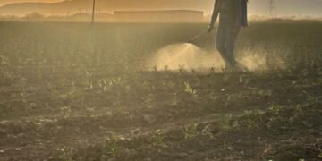 Investigadores UACH presentaron resultados de proyecto sobre restauración de suelos con microalgas en Chihuahua