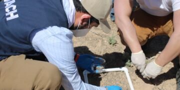 Científicos de la UACH estudian biocostras para combatir la degradación del suelo