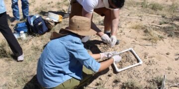 Científicos de la UACH estudian biocostras para combatir la degradación del suelo