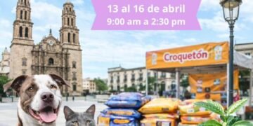 No alcanzaste a llevar tu donativo: Ve al stand del Croquetón 2026 en Plaza de Armas