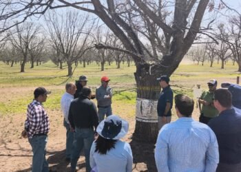 Fortalecen UACH, INIFAP y UTEP colaboración binacional para enfrentar retos del cambio climático en agroecosistemas