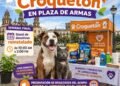 Cerraran campaña del «Croquetón» en la plaza de Armas