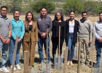 Desarrolla UT Parral viñedo experimental en Balleza para generar alternativas