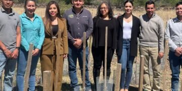 Desarrolla UT Parral viñedo experimental en Balleza para generar alternativas