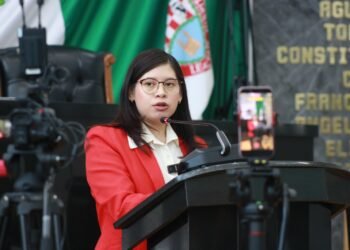 Lleva gobierno estatal más de 15 años sin reglamento ni recursos para bienestar animal
