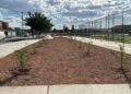 Realizan forestación de 100 árboles en el Polideportivo Luis H. Álvarez, participaron scouts