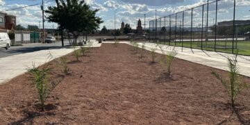 Realizan forestación de 100 árboles en el Polideportivo Luis H. Álvarez, participaron scouts
