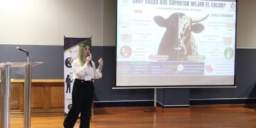 Doctorante de la UACH competirá a nivel nacional con investigación sobre ganado criollo de Chihuahua