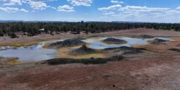 Recuperarán la Laguna de Ochocachi en Guachochi, buscan preservar los recursos
