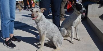Últimos lugares para inscribirse en la carrera «Dejando Huella», inicia el domingo 19 de julio