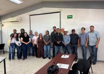 Desarrolla la UACH tecnología para combatir la pudrición rosa en cebolla