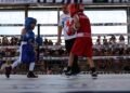 Invita Municipio al box de barrios este fin de semana en el Polideportivo Luis H. Álvarez