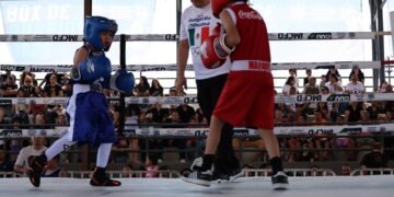Invita Municipio al box de barrios este fin de semana en el Polideportivo Luis H. Álvarez