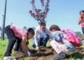 Inició Guachochi programa de conservación y reforestación «Dejando una huella verde»