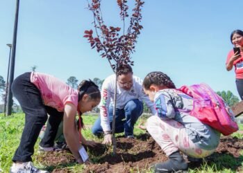 Inició Guachochi programa de conservación y reforestación «Dejando una huella verde»