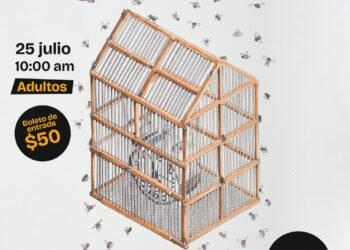 Casa Chihuahua invita a un recorrido guiado y taller creativo con el artista Gerardo Vargas