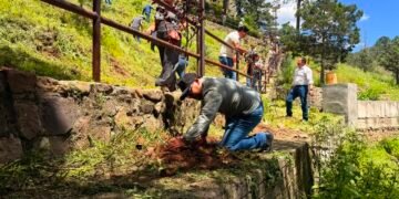 Reforestan cascada El Salto, acciones del programa “dejando una huella verde”