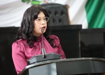 Diputada Jael Argüelles exhibe vicios de reforma electoral: “La corte les corrigió la plana”
