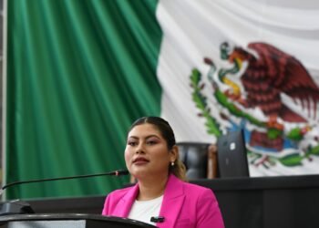 Aprobó Congreso Ley «Malena», tipifica agresiones a mujeres con ácido o sustancias corrosivas