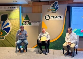 Plantean estrategia para recuperar competitividad en producción de granos a largo plazo