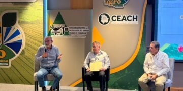 Plantean estrategia para recuperar competitividad en producción de granos a largo plazo