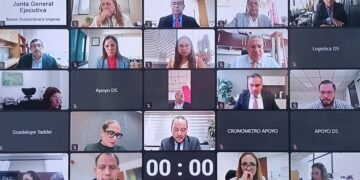 Aprueba INE creación del grupo de trabajo para la prevención y atención de la VPMRG